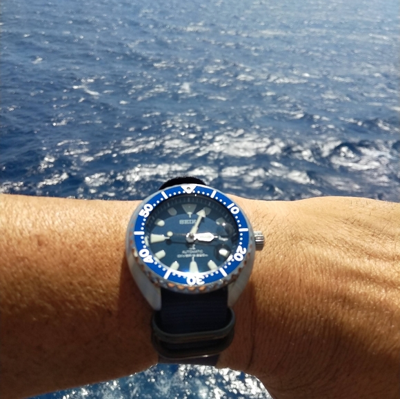 Meet your Posher, Rob - Picture 14 of 17